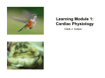 Cardiac Physiology