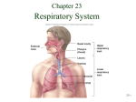 Chapter 23 - Anatomy Freaks