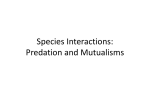 Species Interactions: Predation