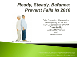 Falls Prevention - Summit on Aging and Independence