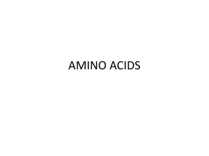 1. Amino Acids (2017)