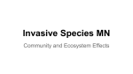 Invasive Species MN
