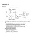 Virus Quiz for Corrections File