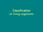 Taxonomy and Classification of living organisms