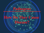 Pathogens How Do They Cause Disease?