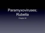 14 Paramyxoviruses