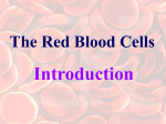 The Red Blood Cells