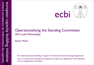 Operationalising the Standing Committee