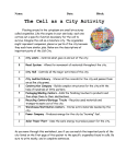 Cell City Introduction