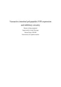 Vasoactive intestinal polypeptide (VIP) expression and inhibitory