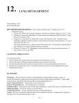 LUNG DEVELOPMENT