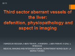 Third sector aberrant vessels of the liver: defenition