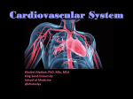 4 CardiovascularSystem
