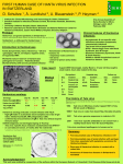 Development of a quantitative real time PCR assay