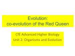 Co-evolution and the Red Queen