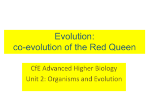 Co-evolution and the Red Queen
