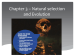 Natural Selection Powerpoint - Year 10 Life Science