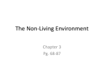 The Non-Living Environment