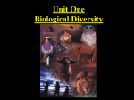 3 Biodiversity Intro 1