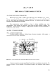 CHAPTER 10 THE SOMATOSENSORY SYSTEM