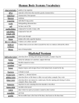 click here for printable human body systems vocab.