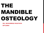 The mandible osteology
