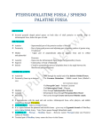 Pterygopalatine Fossa