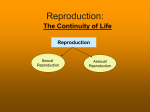 ASexual Reproduction