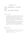 module 6 The Cerebral Cortex and Our Divided Brain Module