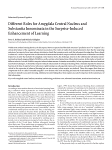 Different Roles for Amygdala Central Nucleus and Substantia