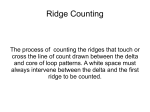 ridge counting and tracing