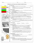 Relative and Absolute Dating Guided Notes