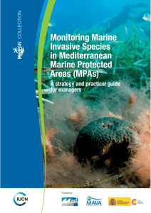 Monitoring Marine Invasive Species in Mediterranean Marine