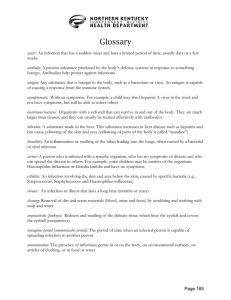 Glossary