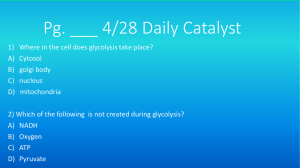 Pg. ___ 4/28 Daily Catalyst