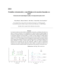 Estudios estructurales y morfológicos de mezclas basadas en ZnO