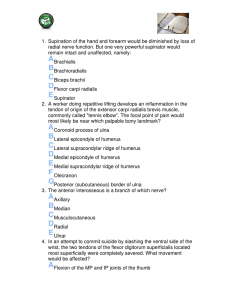 1. Supination of the hand and forearm would be diminished by loss