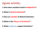 2. What is Natural Selection?