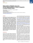 Natural Scene Statistics Account for the