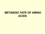 Metabolic fate of amino acid