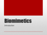 12. Biomimetics
