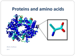 Proteins and amino acids