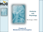 Chapter_25_Metabolism