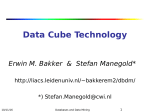 Data Cube Technology