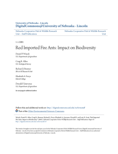 Red Imported Fire Ants: Impact on Biodiversity