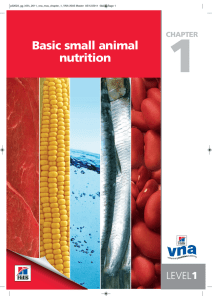 Basic small animal nutrition