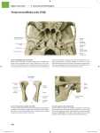 Temporomandibular Joint (TMJ)