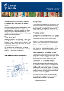 Prostate cancer - Cancer Society NZ