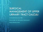 53 Strategies for Nonmedical Management of Upper Urinary Tract