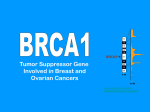 BRCA1